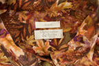Vintage 1990s Christopher & Banks Women's Floral Falling Leaves Button Up Shirt