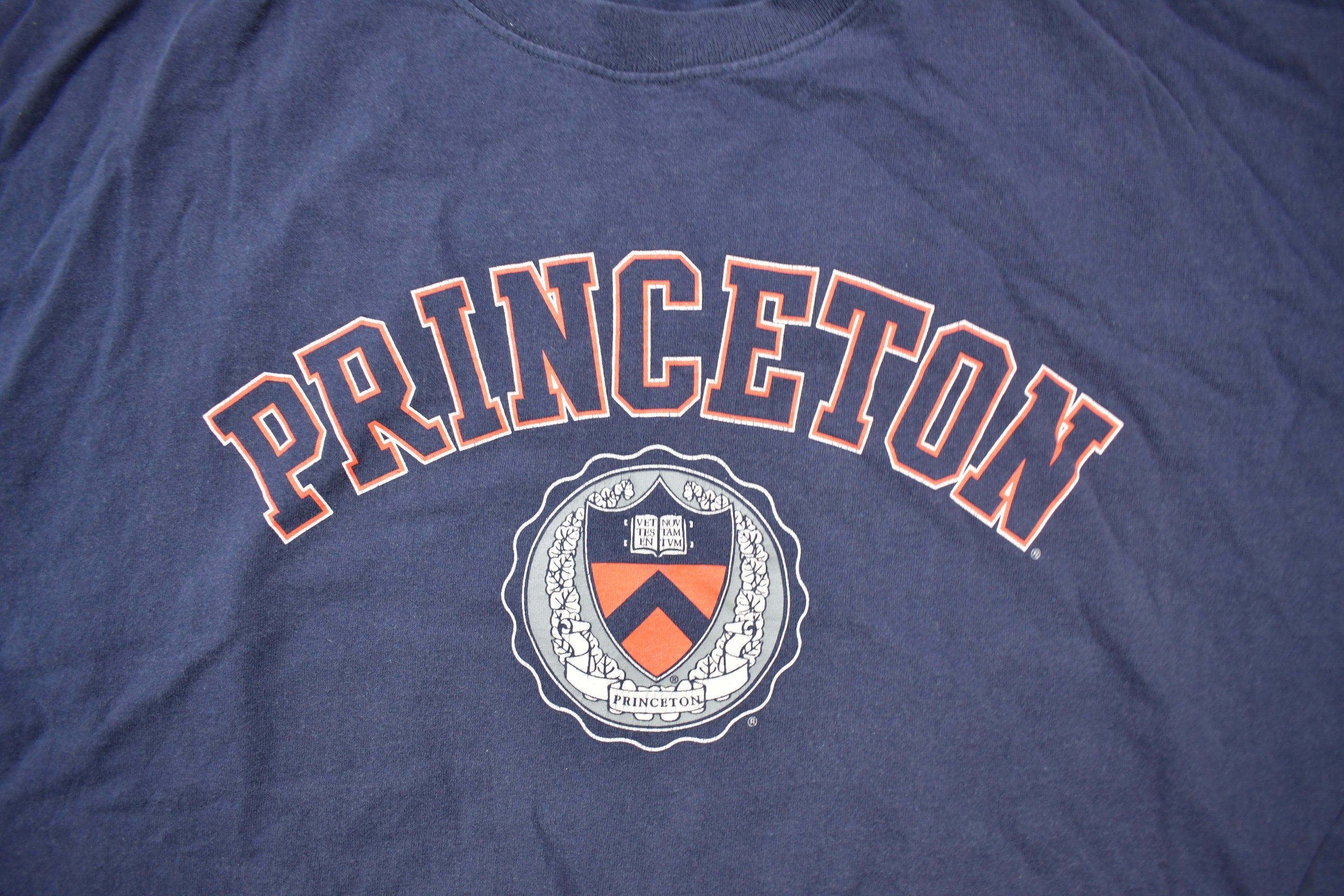 Vintage 1990s Princeton University Collegiate T-Shirt