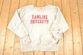 Vintage Y2K Distressed Champion Reverse Weave Hamline University Crewneck Sweatshirt Men's L