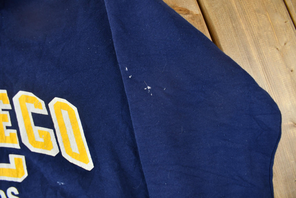 Vintage 1990s San Diego UC Masters Swimming Collegiate Hoodie
