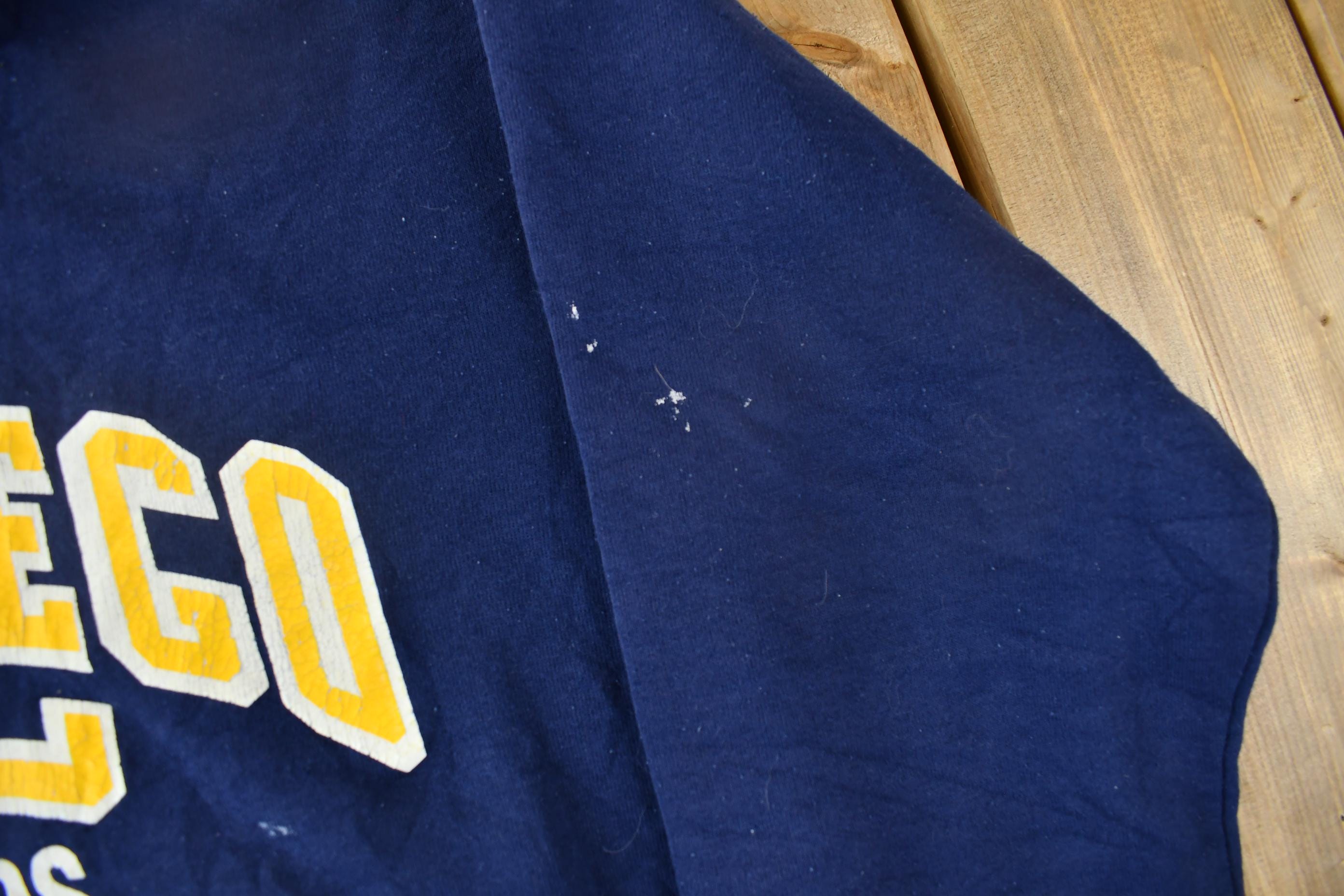 Vintage 1990s San Diego UC Masters Swimming Collegiate Hoodie