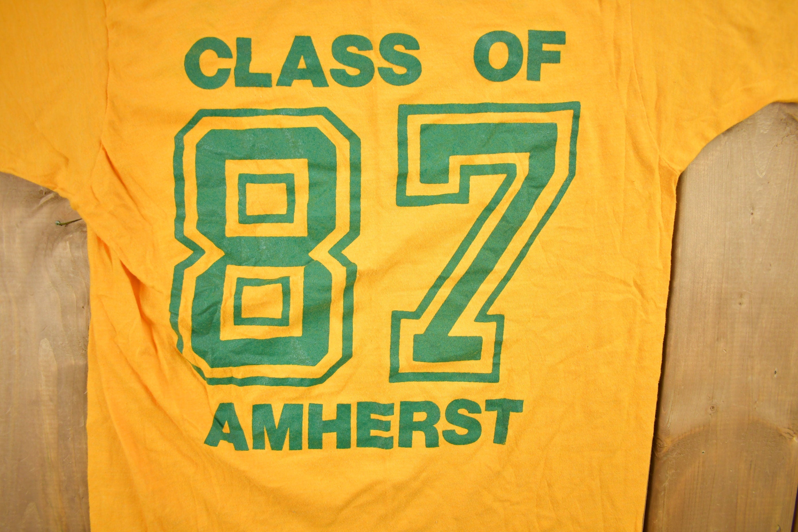 Vintage 1987 Marion L Steele Class Of 87 Amherst Graphic T Shirt