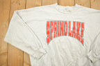 Vintage 1990s Spring Lake Crewneck Sweatshirt