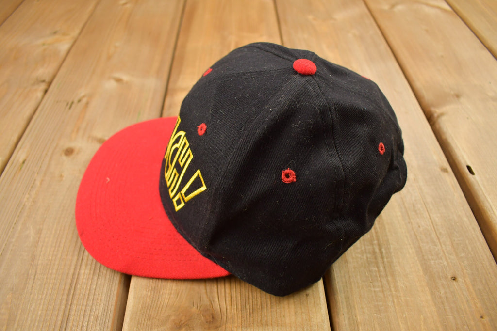 Vintage 1997 Looney Tunes Taz Snap Back Hat