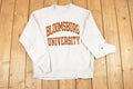 Vintage Y2K Champion Reverse Weave Bloomsburg University Crewneck Sweatshirt Mens L