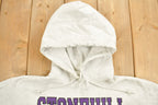 Vintage 1990s Stonehill University Collegiate Champion Reverse Weave Hoodie