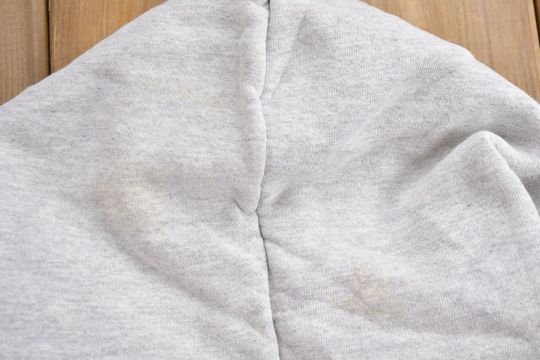 Vintage 1990s Oswego University Of New York State Collegiate Hoodie