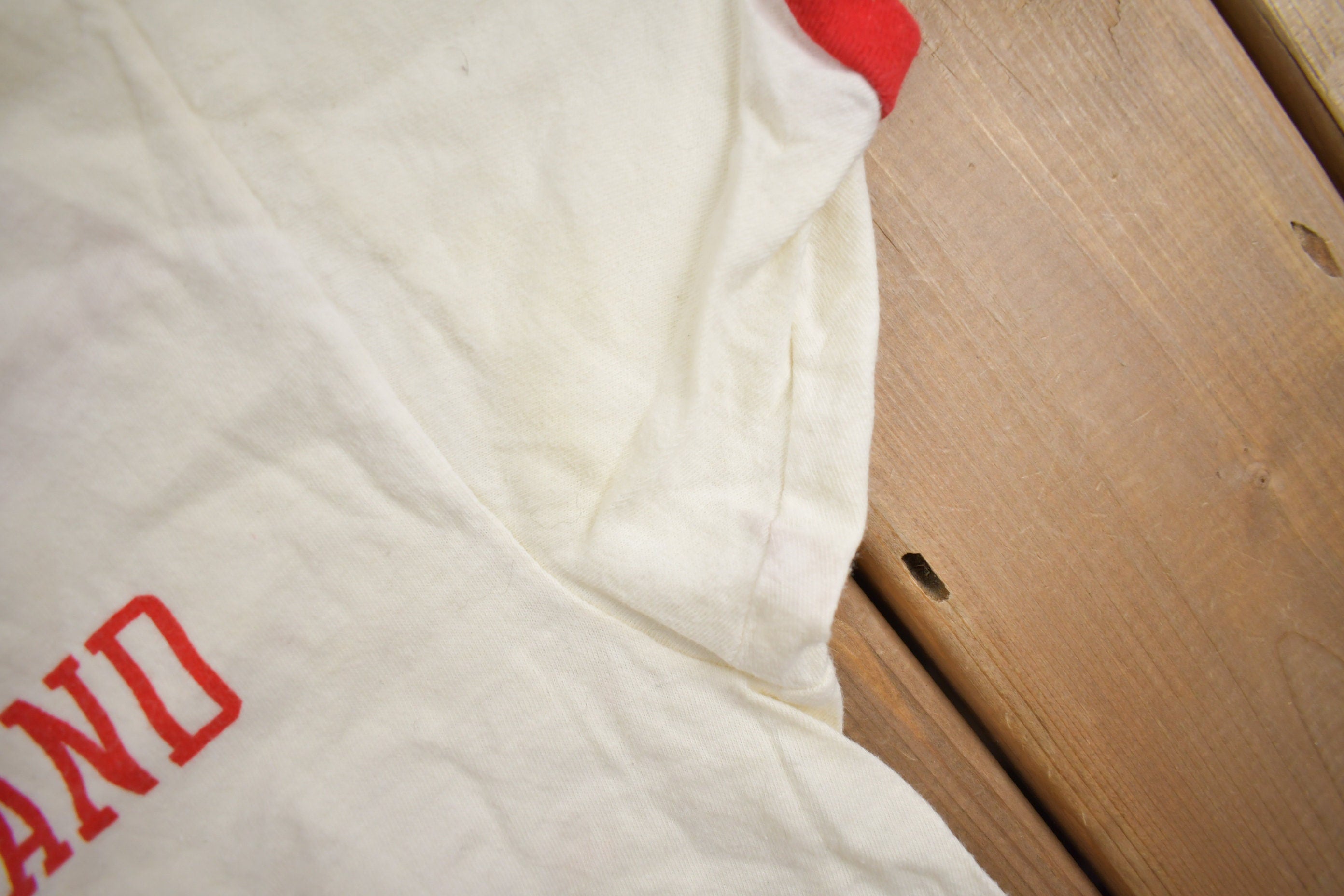 Vintage 1980s Northern Illinois University Collegiate Champion T-Shirt