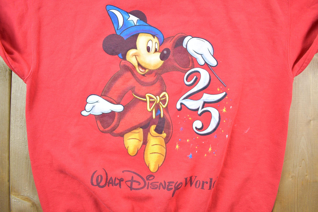 Vintage 1990s Walt Disney World