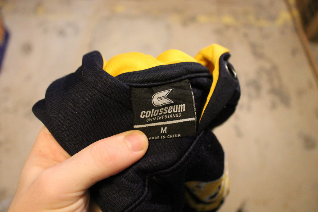 Vintage 1990s Michigan Wolverines Embroidered Hoodie / 90s Sweater / Varsity Print / 80s / 90s / Athletic Pull Over / Wolverines Fan Gear