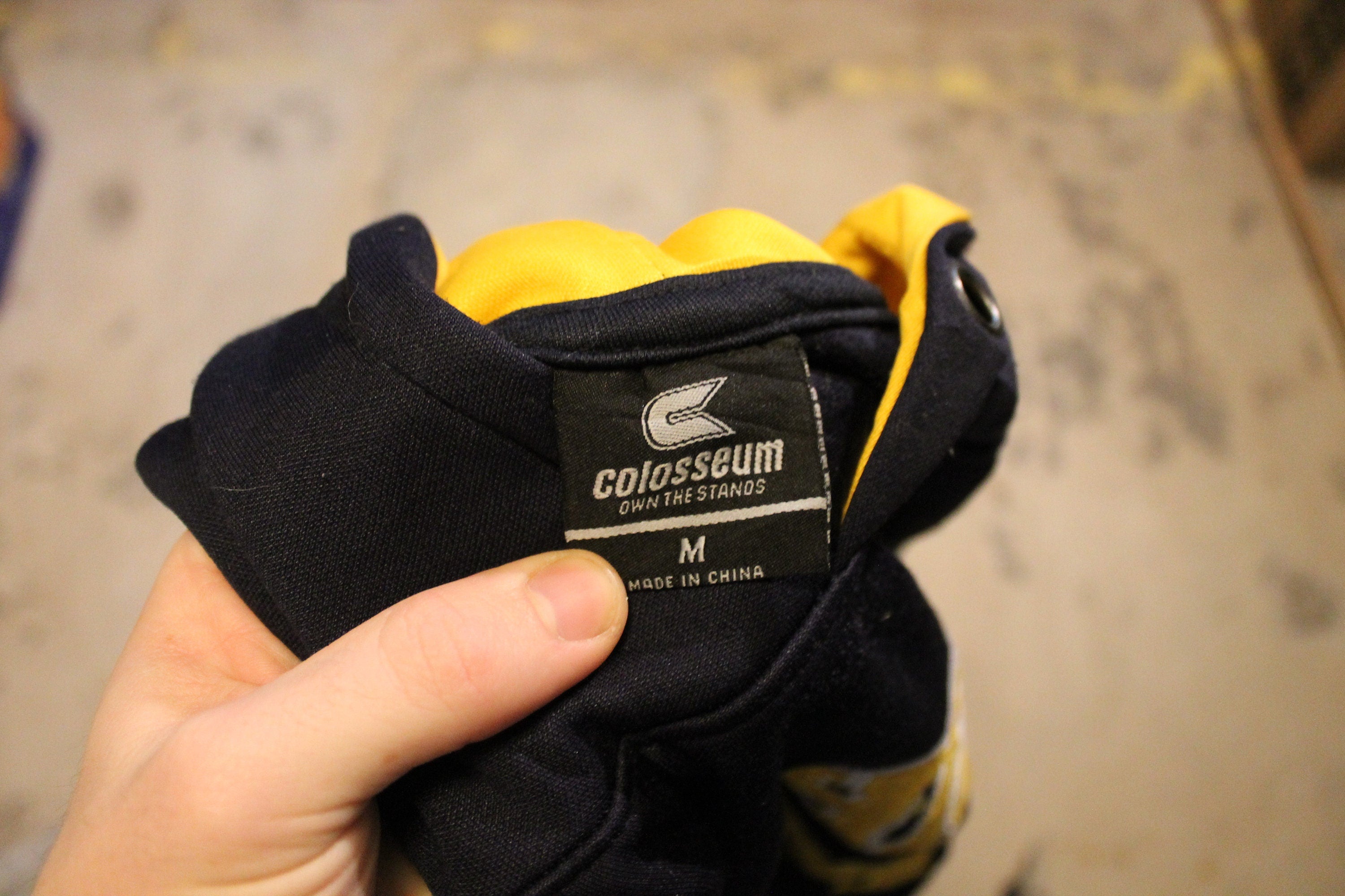 Vintage 1990s Michigan Wolverines Embroidered Hoodie / 90s Sweater / Varsity Print / 80s / 90s / Athletic Pull Over / Wolverines Fan Gear