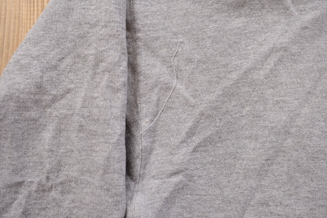 Vintage 1990s Delaware Hayes Pacers Collegiate Crewneck / Graphic Hoodie / Delaware Sweatshirt / Sportswear / Americana / Delaware Vintage