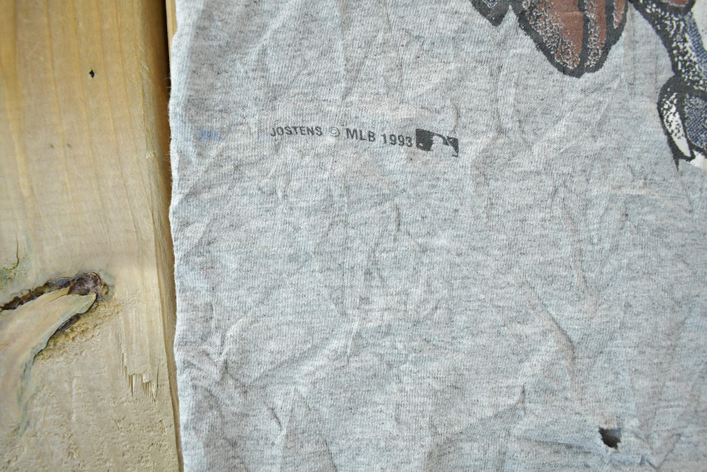 Vintage 1990s Looney Tunes Minnesota Twins MLB Cartoon Promo T-Shirt