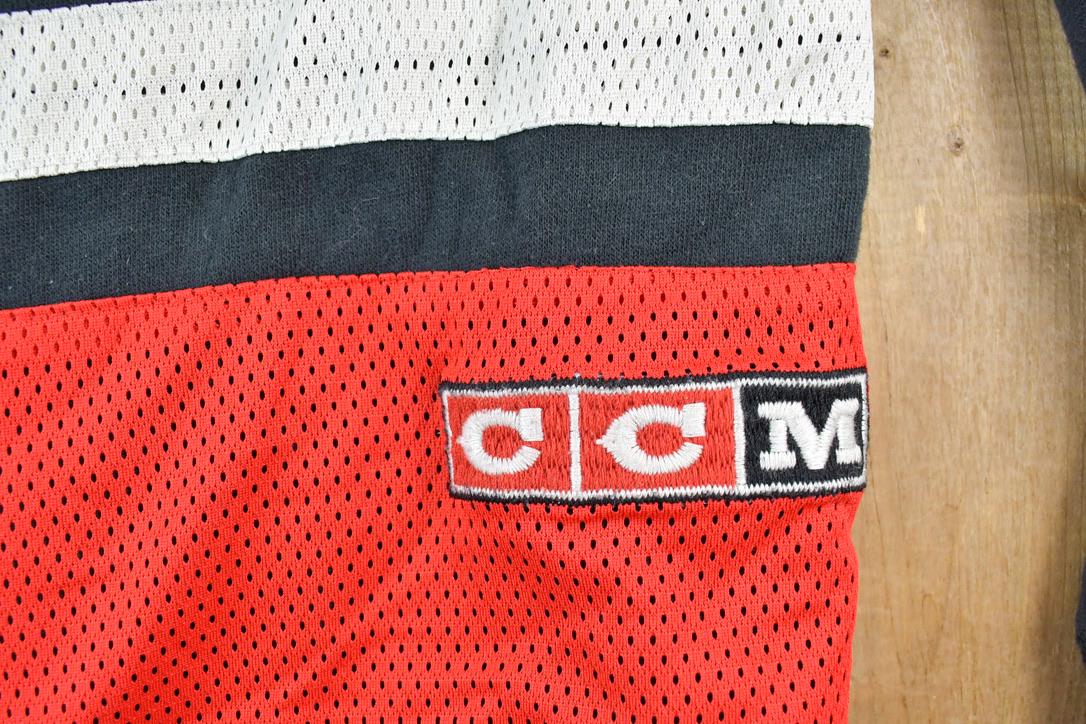 Vintage 1990s Detroit Red Wings NHL CCM Hockey Hoodie Jersey Sweatshirt / Made In USA / Vintage Sportswear / Embroidered / Hockey