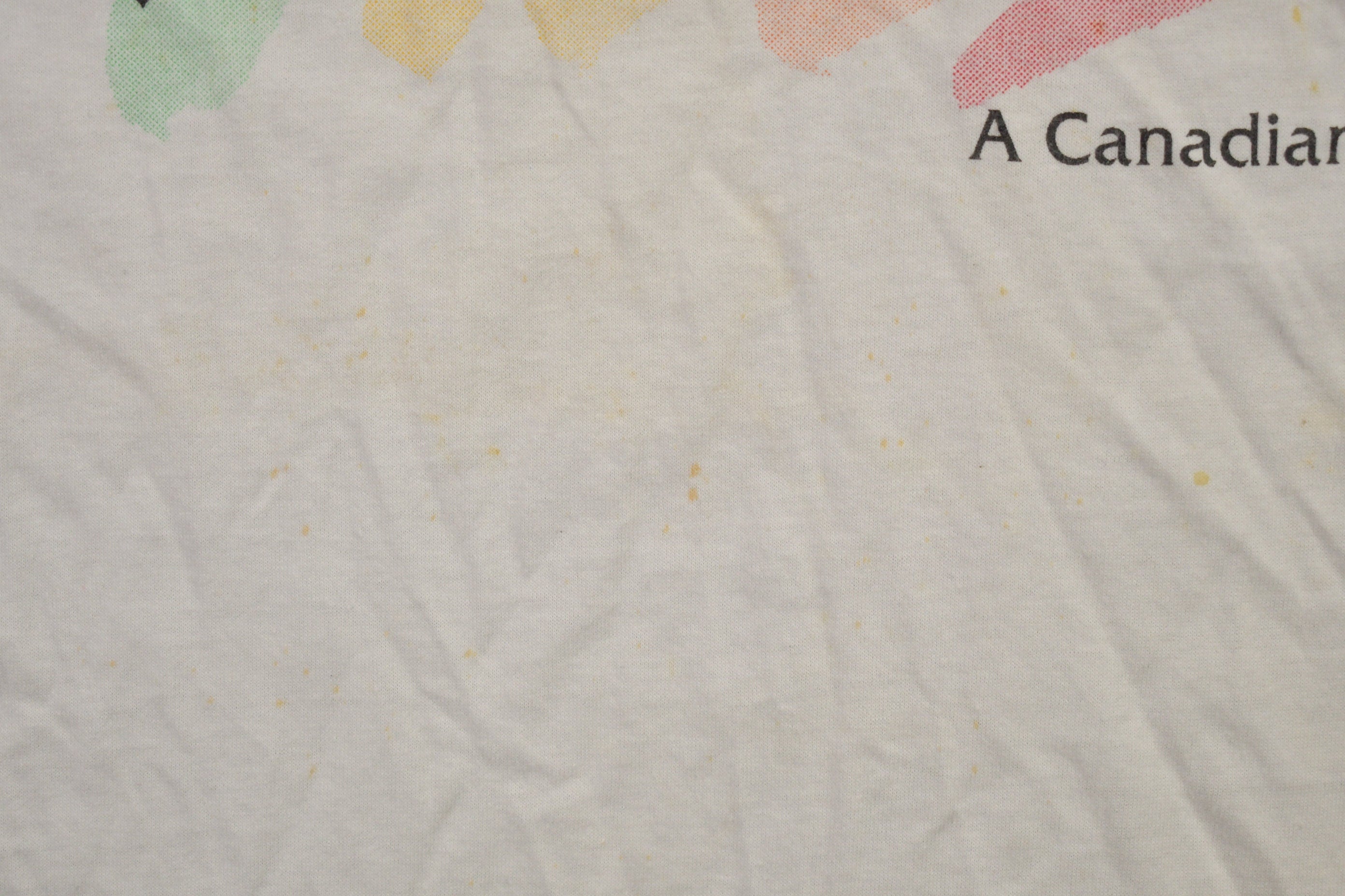 Vintage 1990s Para Paints Canada T-Shirt