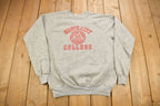 Vintage 1970s Grove City College Collegiate Raglan Crewneck  Made In USA  NCAA Sweatshirt  Sportswear  Americana