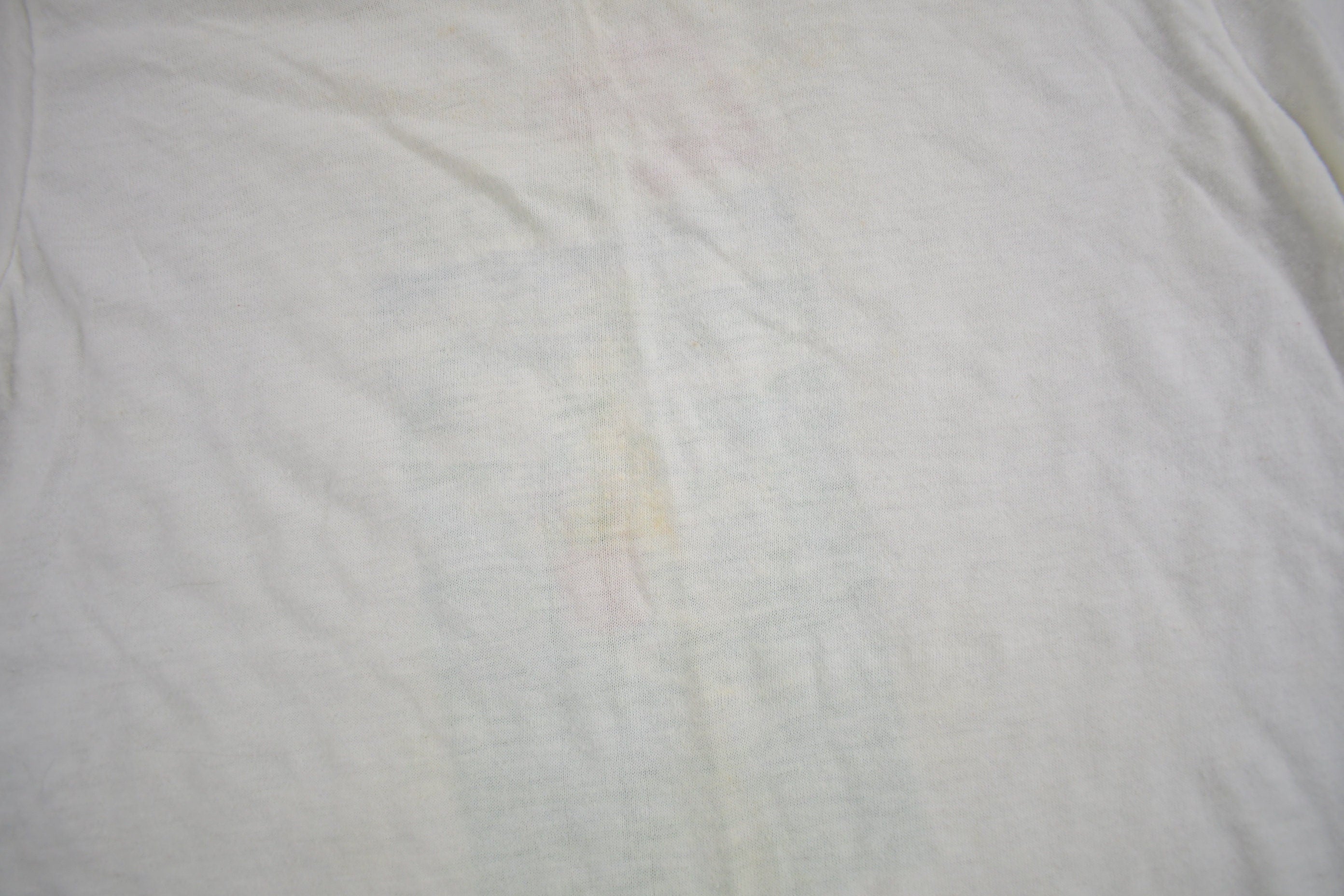 Vintage 1980s lake Louise Gondola Souvenir T Shirt