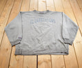 Vintage 1990s Elizabethtown College Jansport Distressed Crewneck