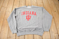 Vintage 1990s University Of Indiana Collegiate Crewneck