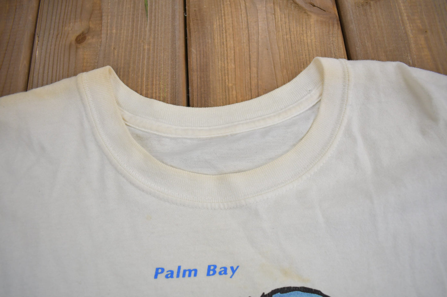 Vintage 1980s Palm Bay Palm Tree Graphic Souvenir T Shirt / Streetwear / Made In USA / Vacation Tee / Travel T Shirt / Single Stitch