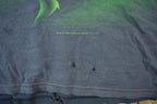 Vintage 90s Looney Tunes T Shirt Wile E Coyote All Over Print Men's 2XL