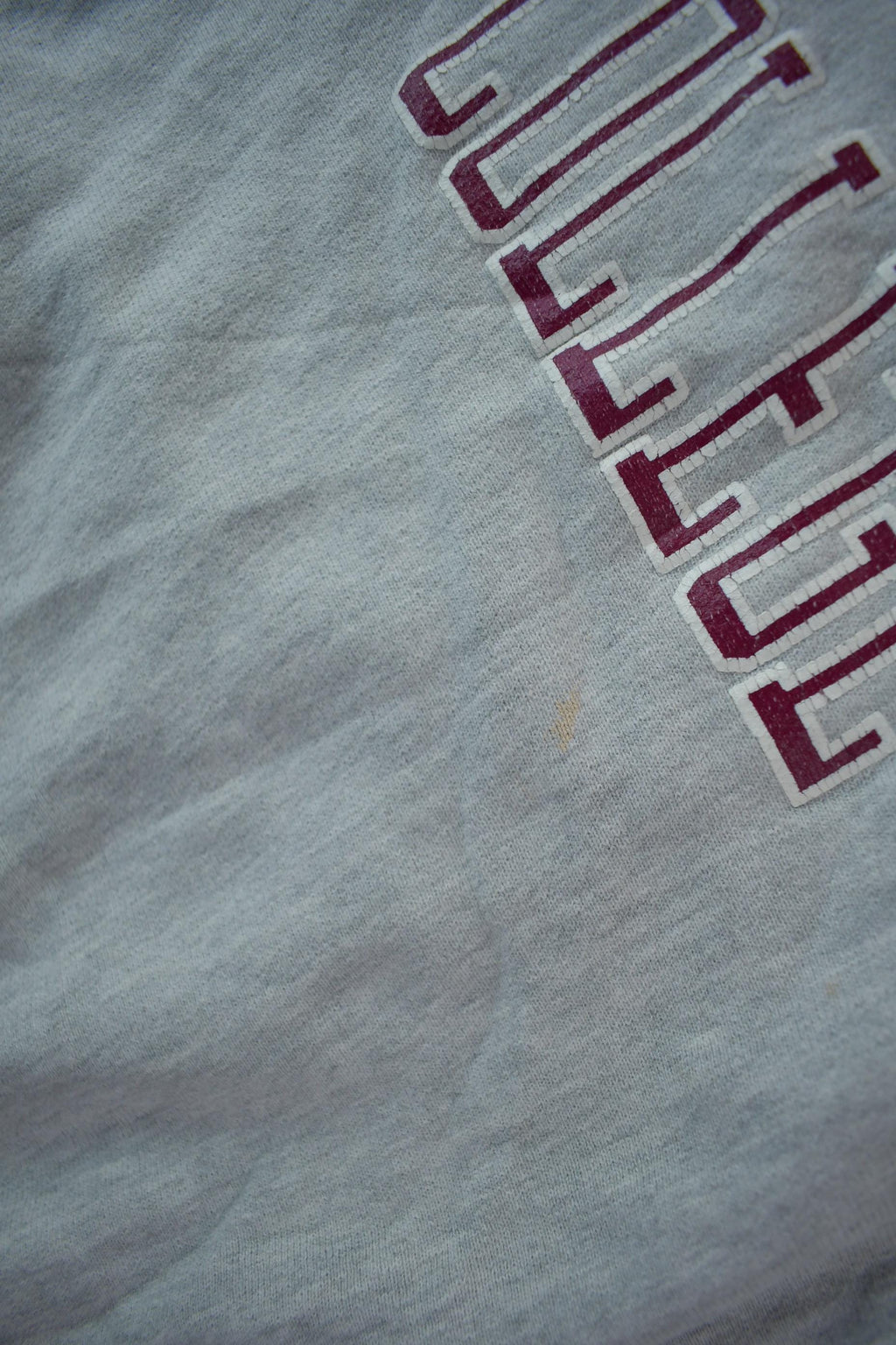 Vintage 1990s Franklin Pierce College Champion Reverse Weave Crewneck Sweatshirt