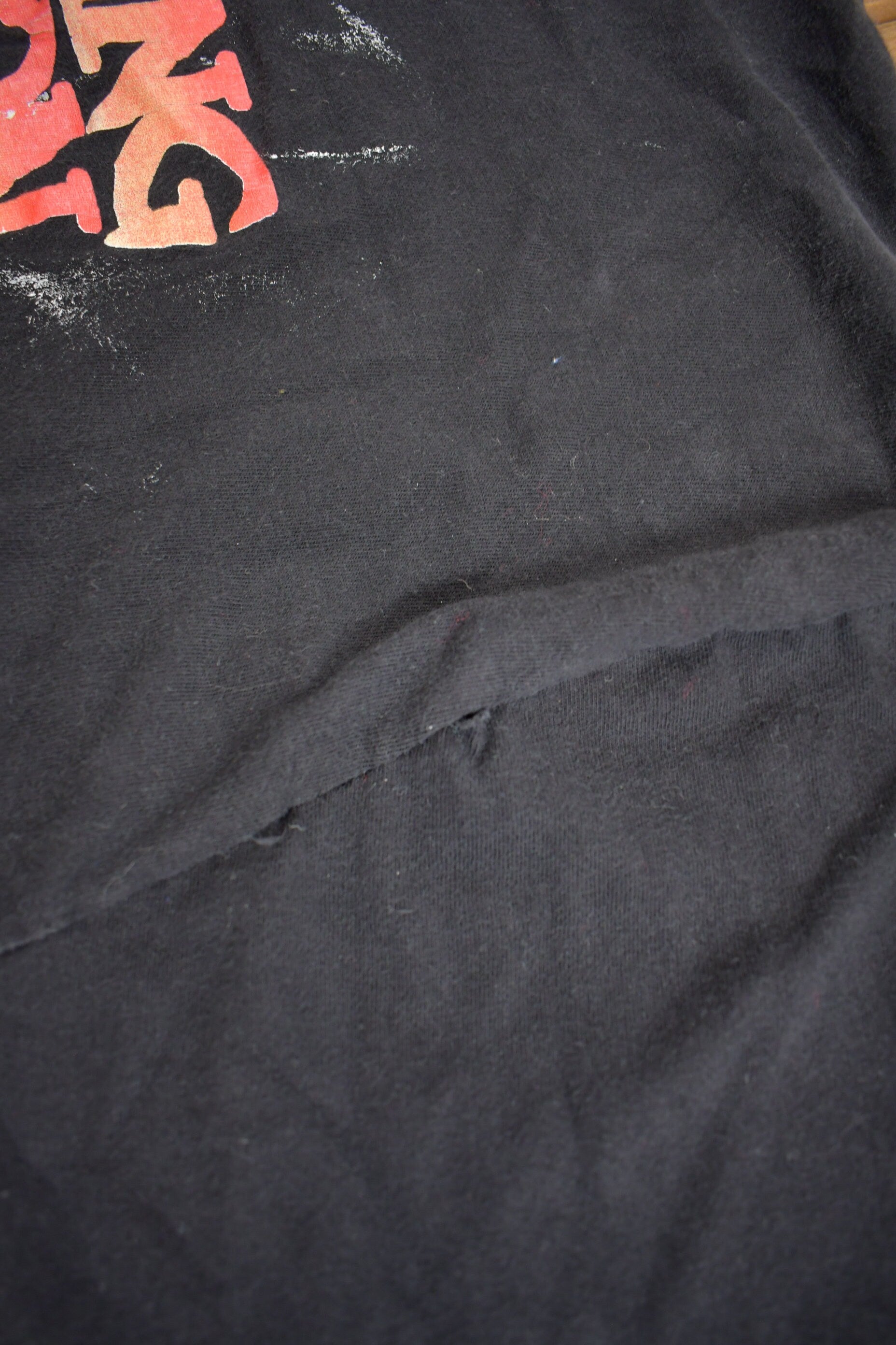 Vintage 1994 Vanishing Son Long Sleeve Graphic T Shirt