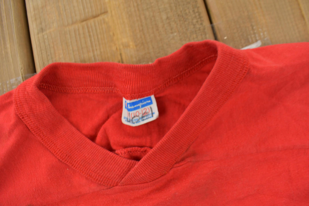 Vintage 1970s Brandon Elementary Jersey Style Champion T Shirt