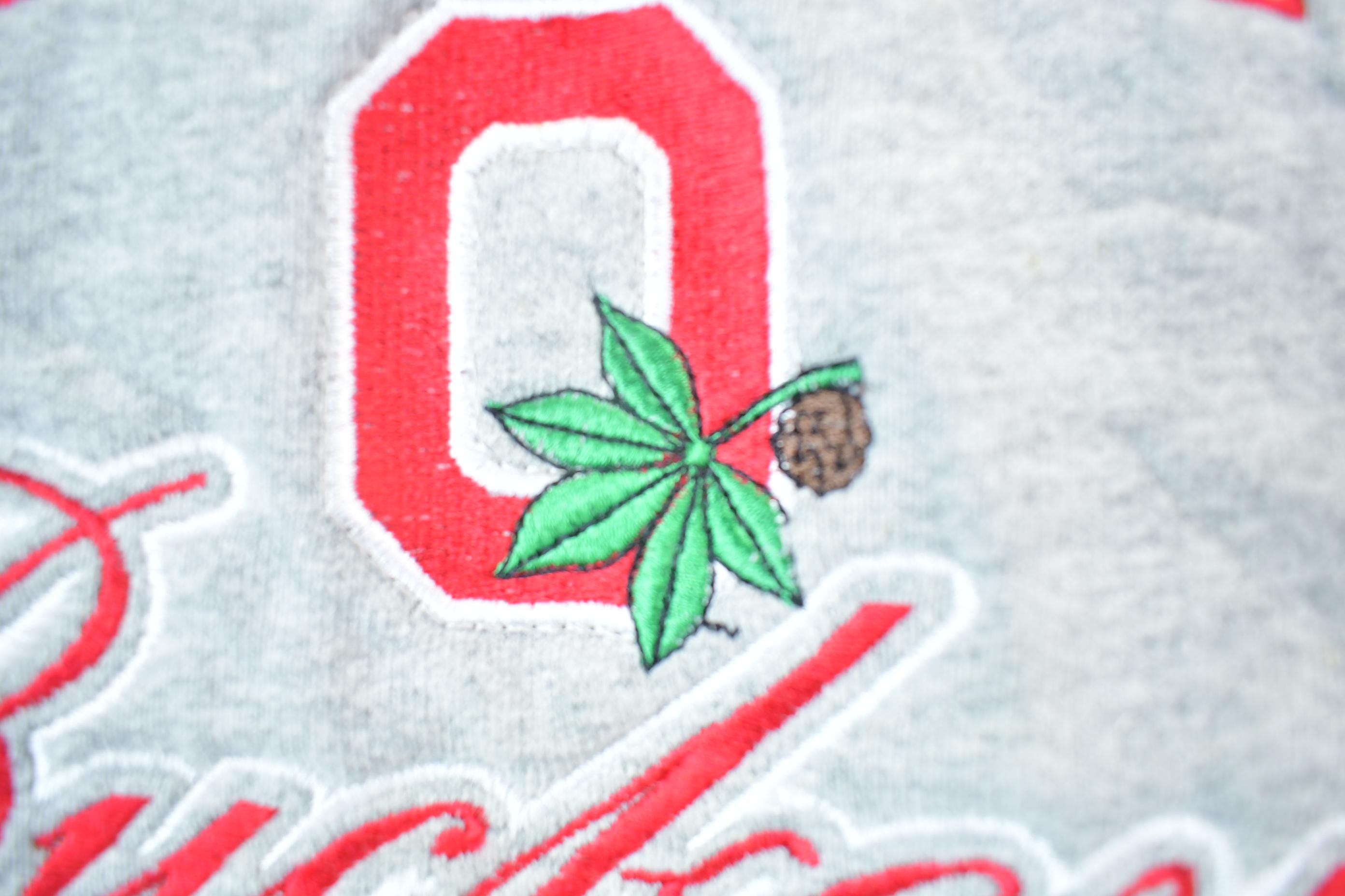 Vintage 1990s Ohio State Buckeyes Pro Player University Collegiate Crewneck