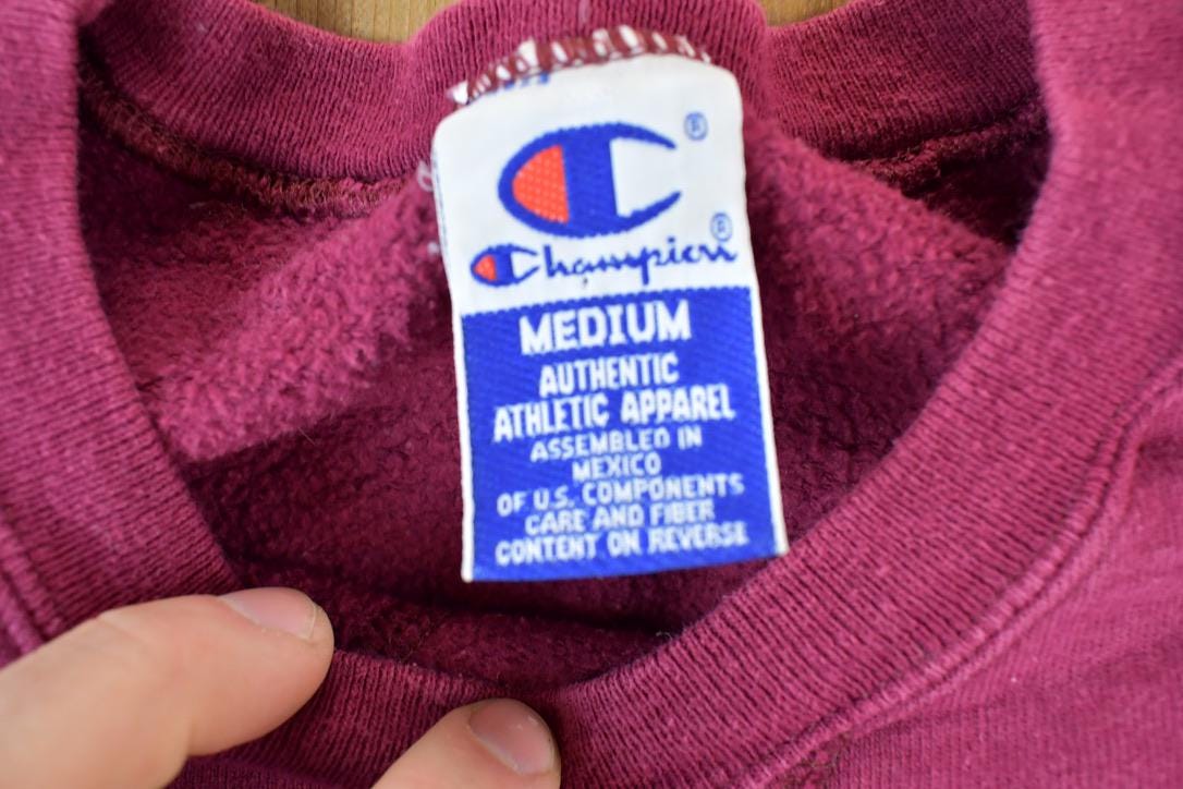 Vintage 1990s Champion Sweatshirt