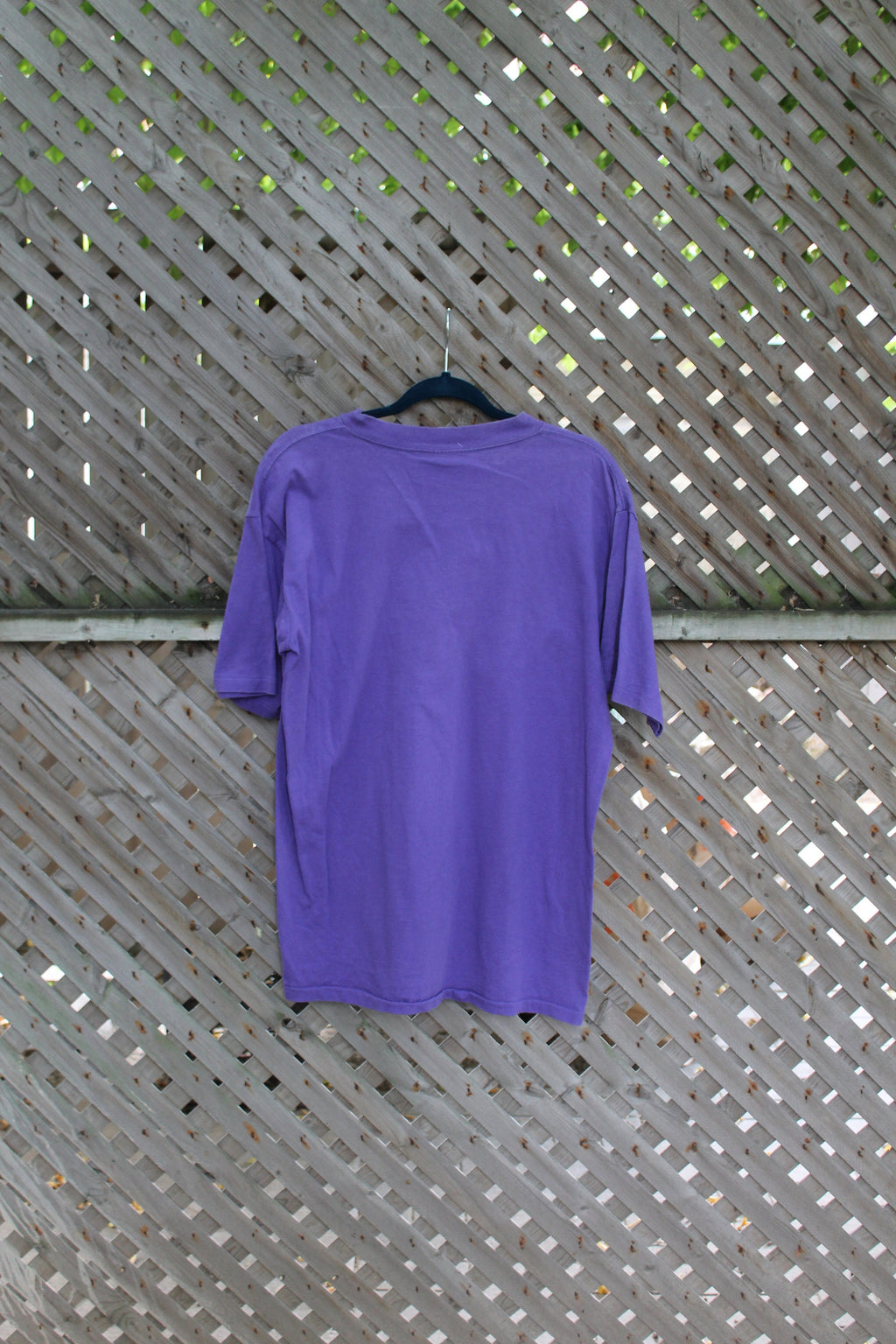 Vintage 1990s Phil and Don's Bogus Picnic T Shirt