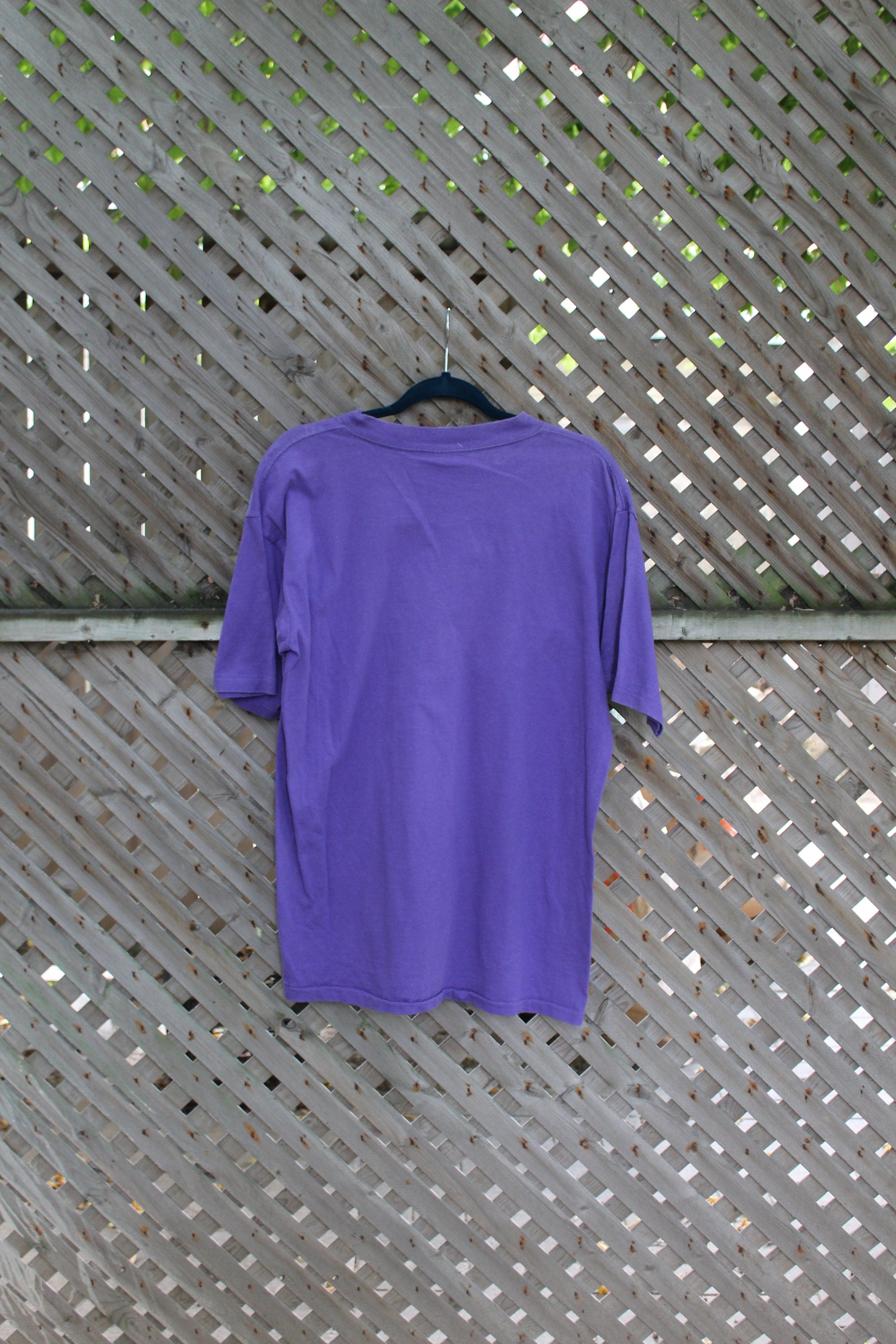 Vintage 1990s Phil and Don's Bogus Picnic T Shirt