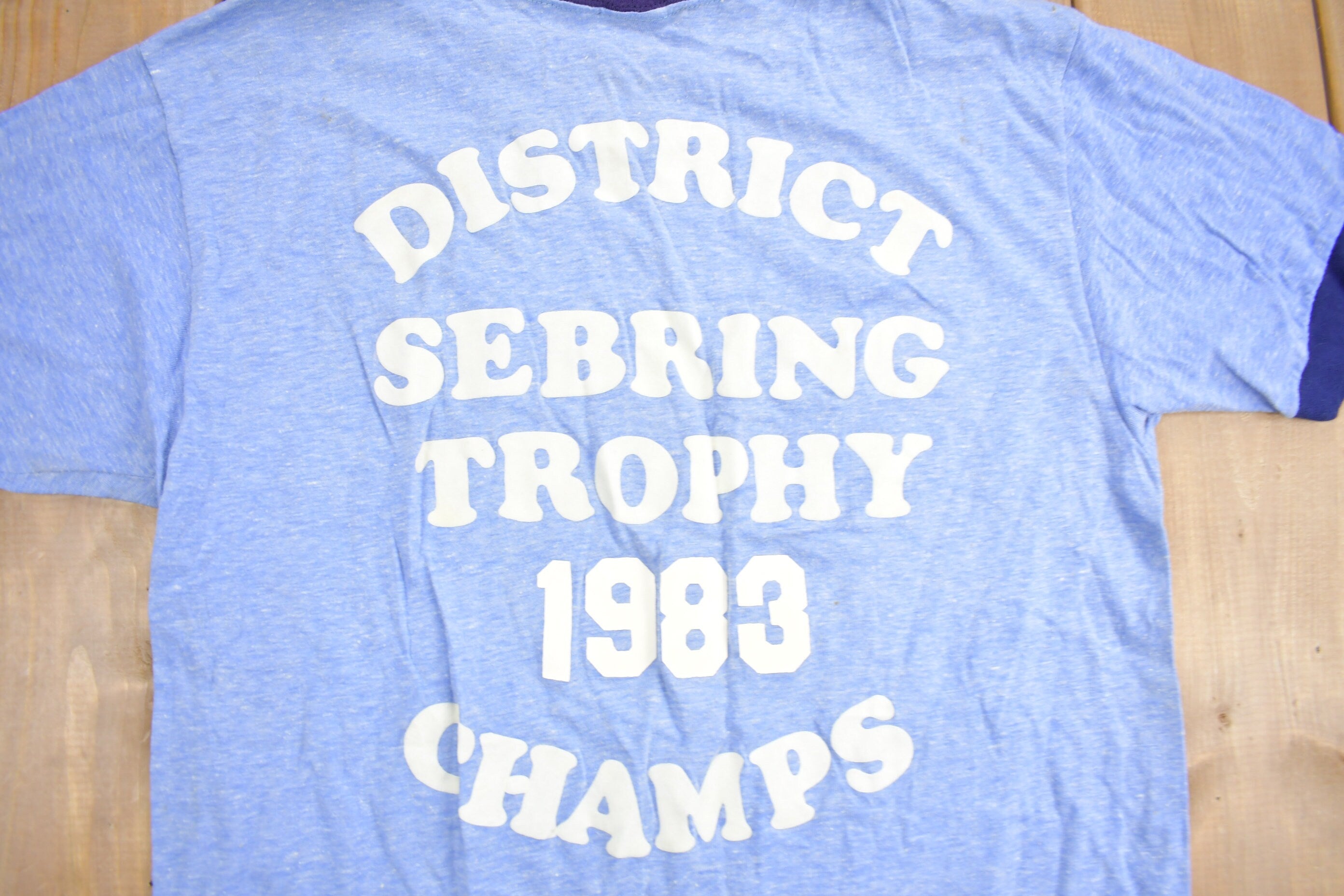Vintage 1983 Sebring Trophy District Champs Ringer T Shirt