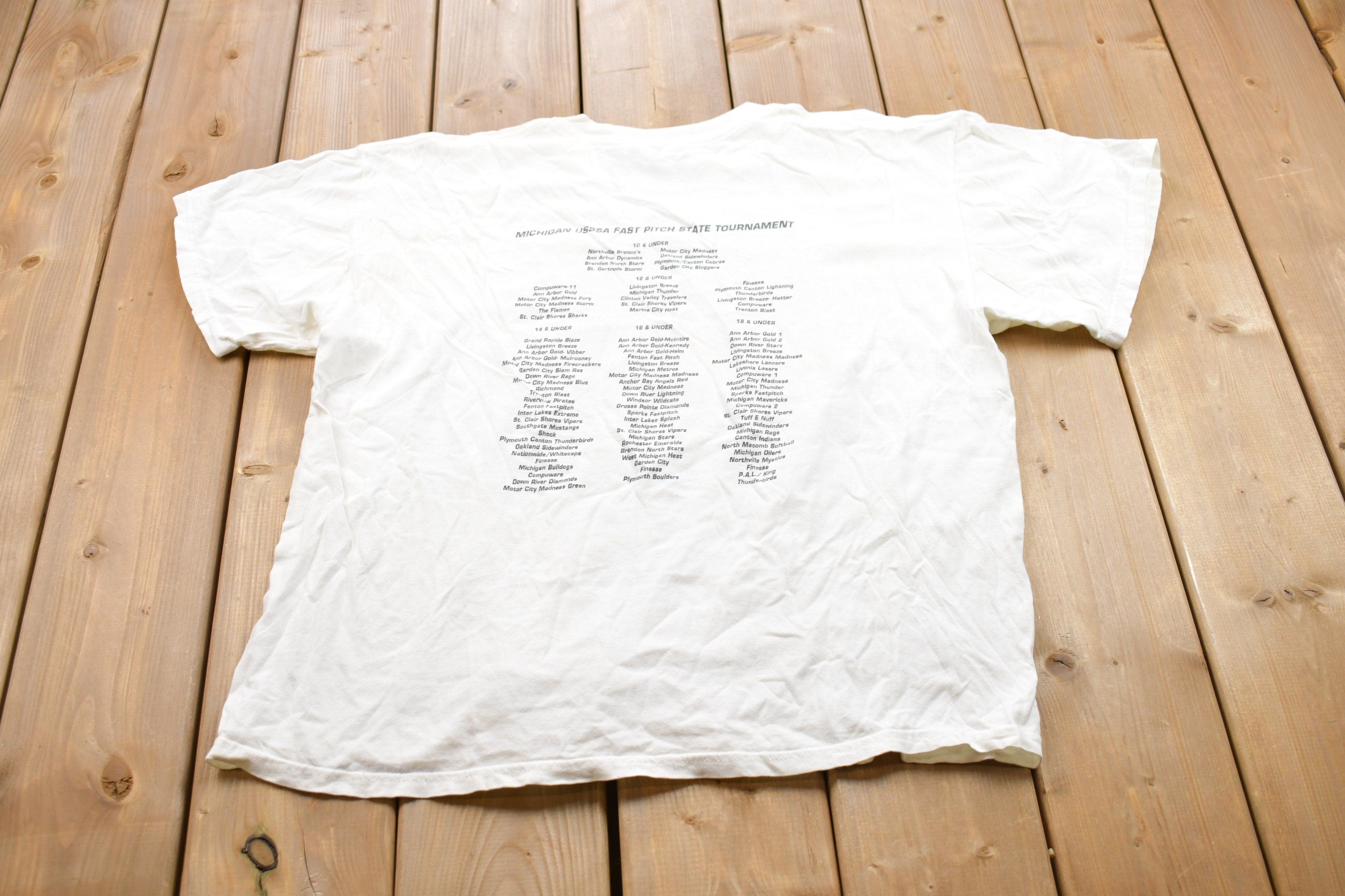 Vintage 2001 Fast Pitch Michigan Graphic T-Shirt