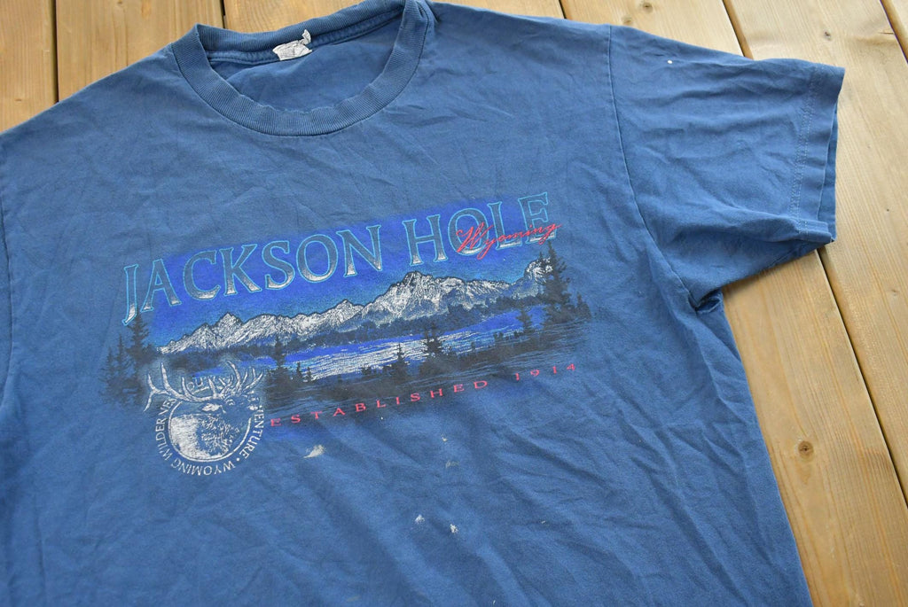 Vintage 1990s Jackson Hole Wyoming Mountains Souvenir T Shirt Mens L  Streetwear  Nature  90s Vacation Tee  Travel T Shirt