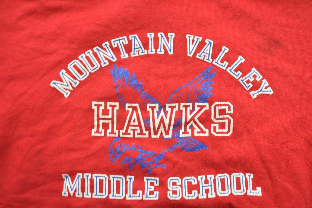 Vintage 1990s Mountain Valley Hawks Collegiate Hoodie
