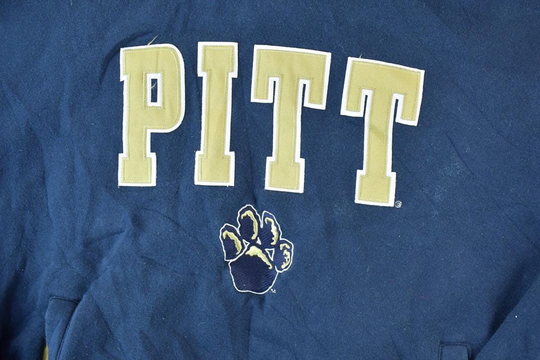Vintage Y2K University Of Pittsburgh Panthers Collegiate Hoodie