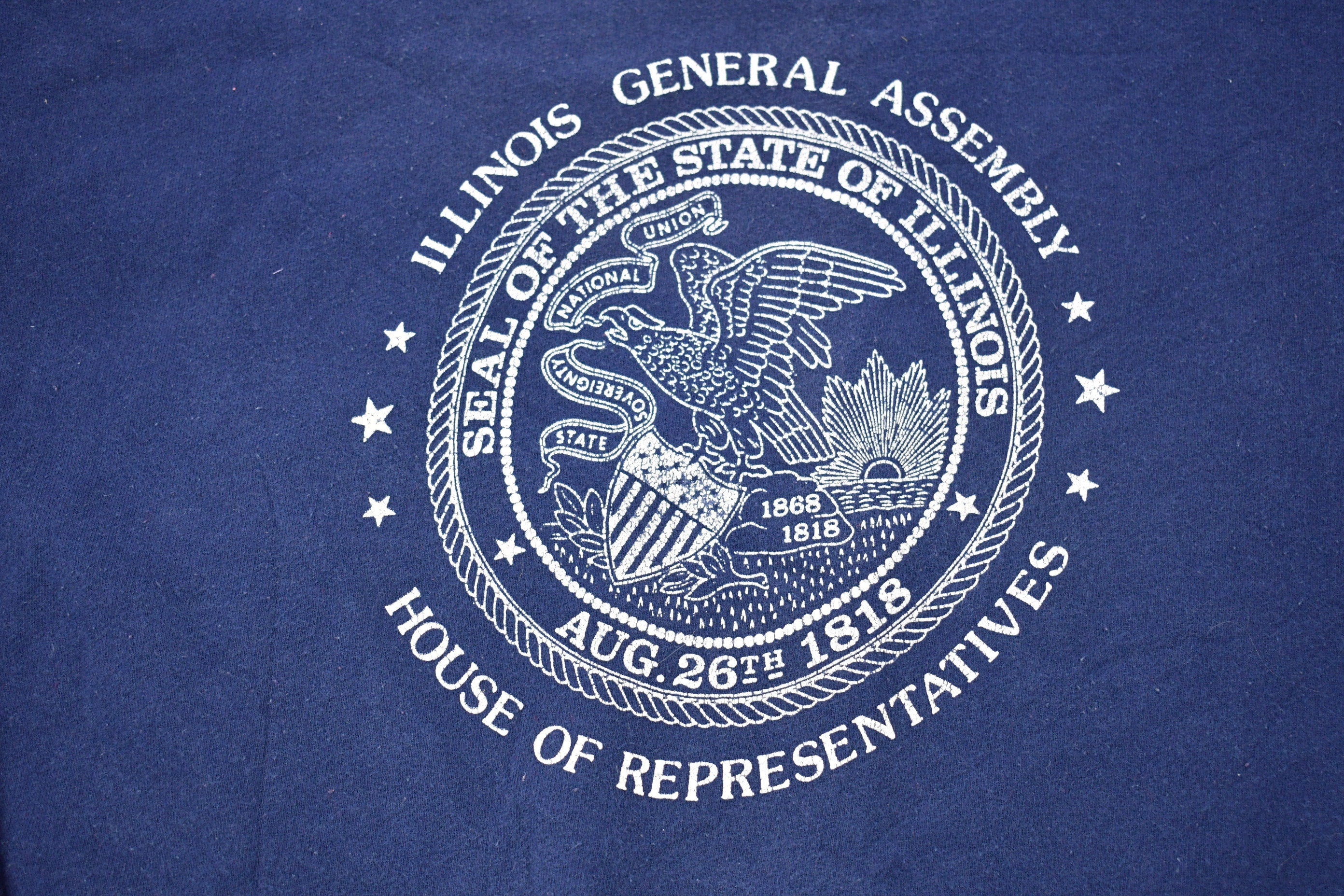 Vintage 1990s Illinois General Assembly Graphic Crewneck Sweatshirt