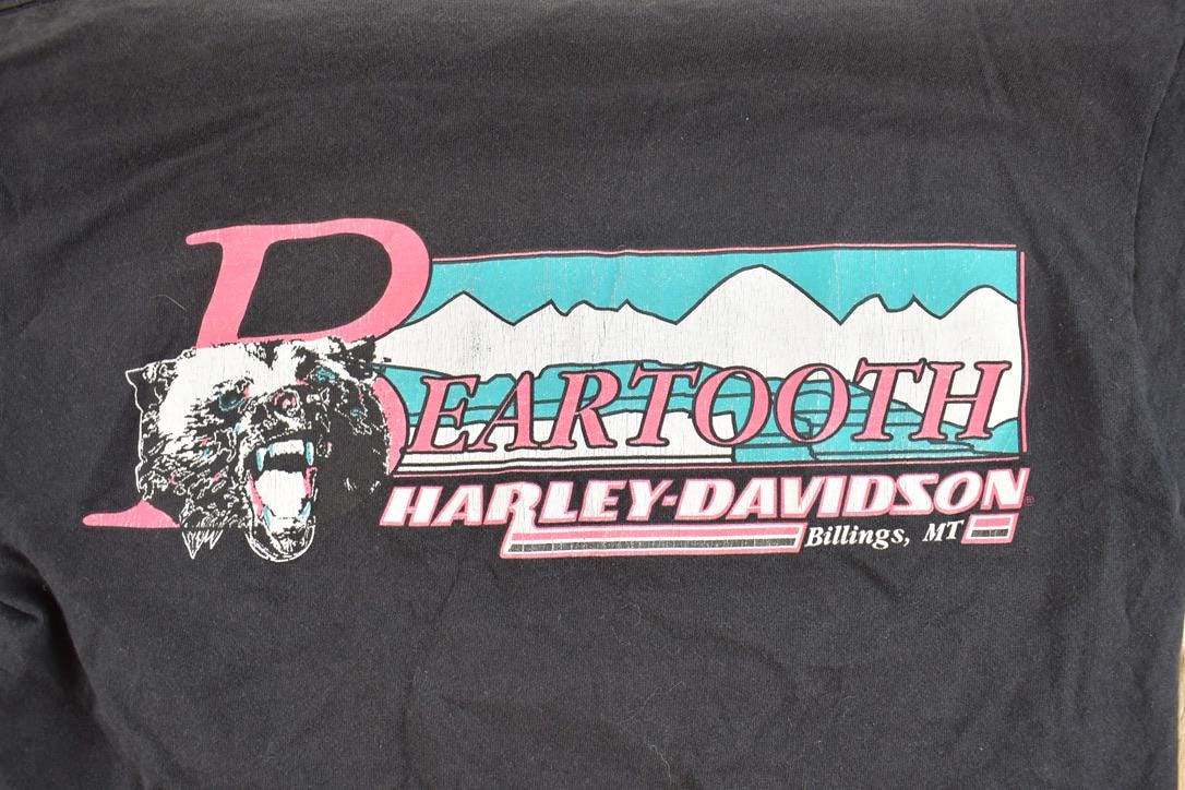 Vintage 1990s Beartooth Harley Davidson Aztec Motorcycle Souvenir T-Shirt