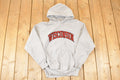 Vintage 1990s Steve & Barry's Wisconsin Embroidered University Hoodie Sweater Men's XS
