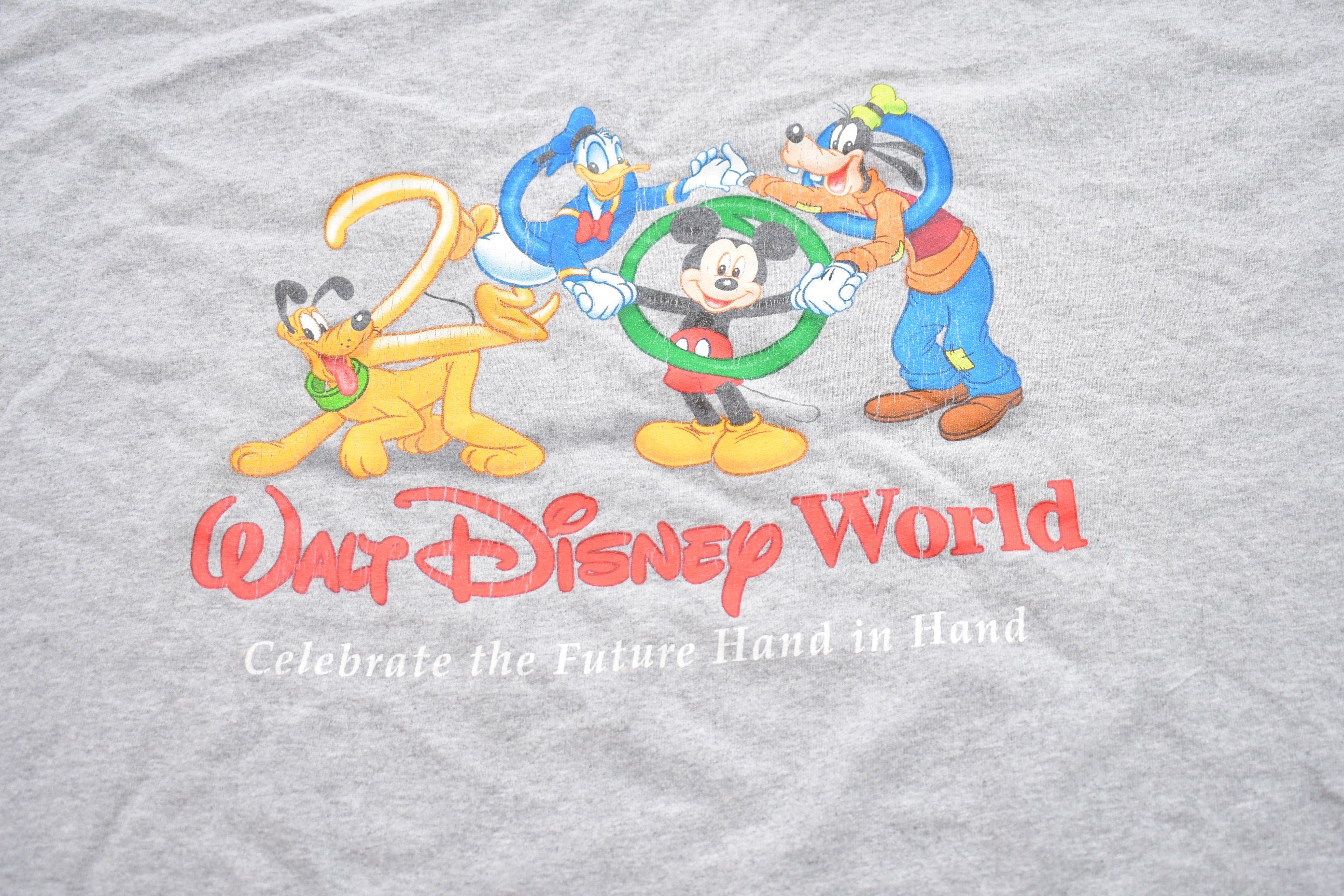 Vintage 2000 Walt Disney World Graphic T-Shirt