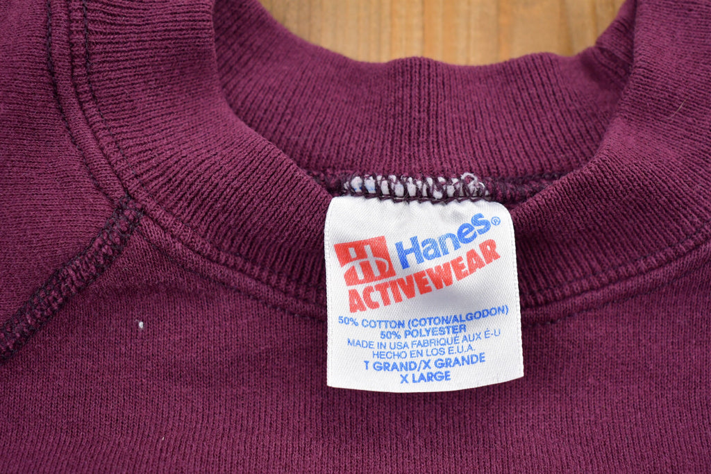 Vintage 1990s Buffalo Educational Support Team Crewneck Sweatshirt