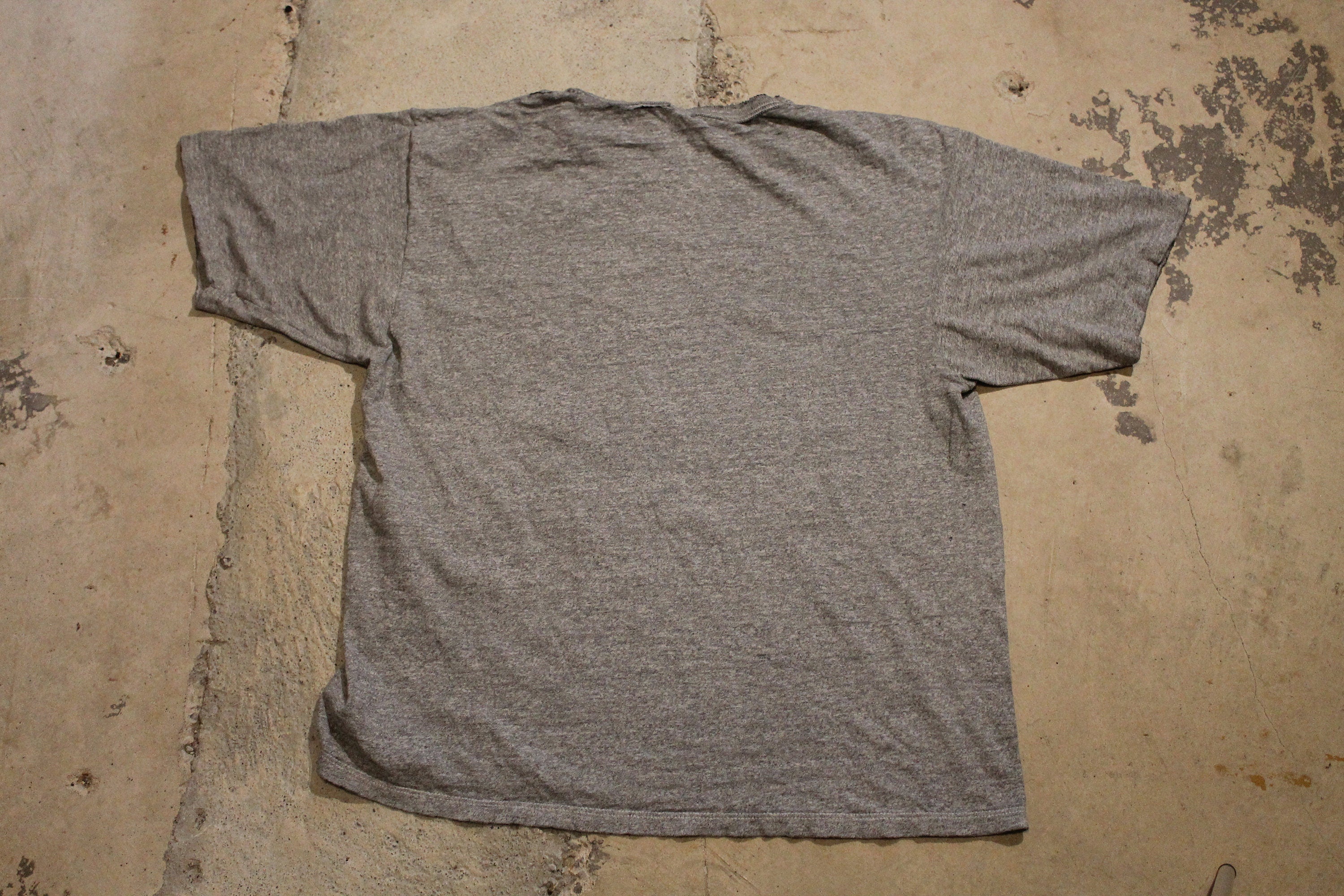 Vintage 1990s Wittenberg Champion Graphic T Shirt