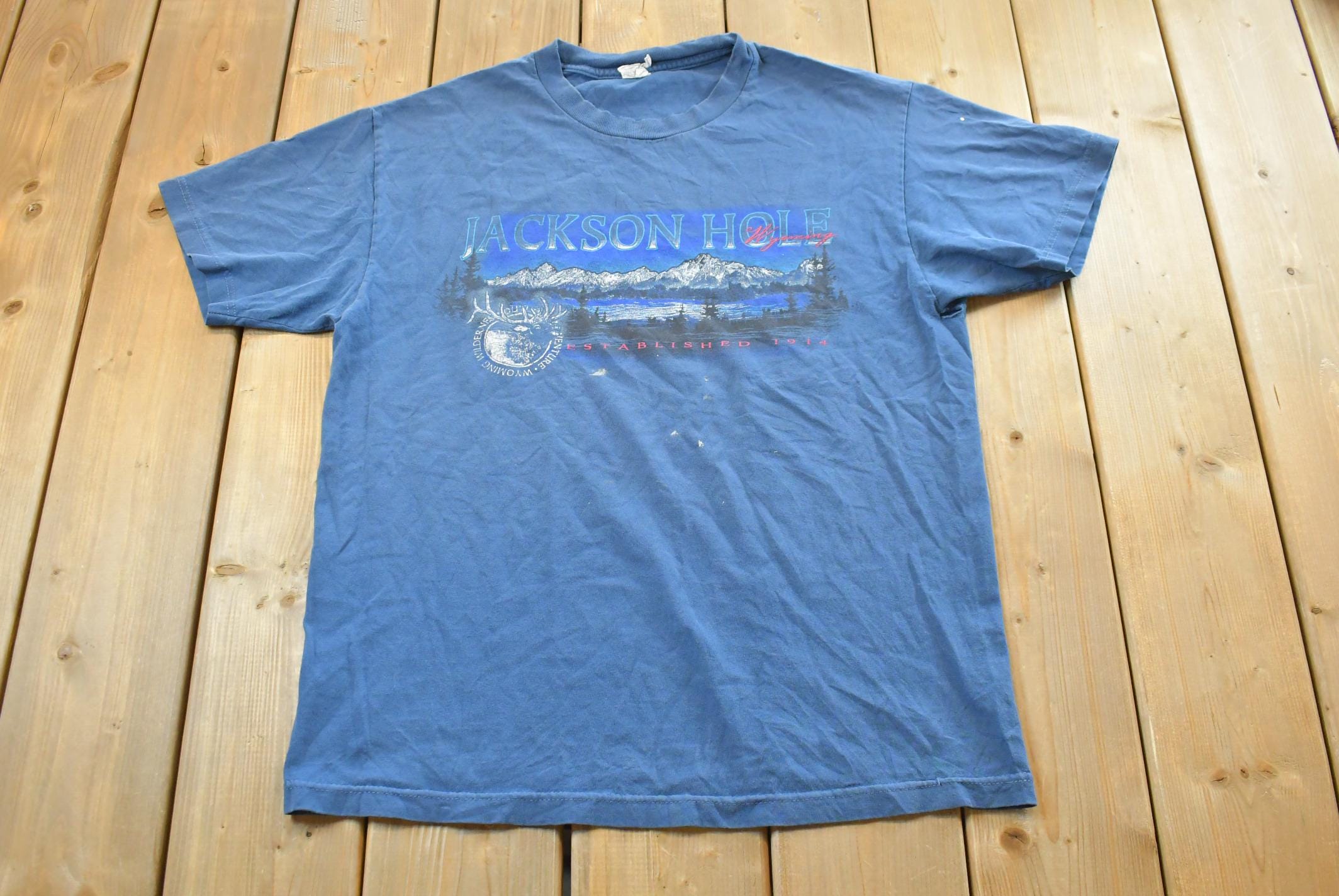 Vintage 1990s Jackson Hole Wyoming Mountains Souvenir T Shirt Mens L  Streetwear  Nature  90s Vacation Tee  Travel T Shirt
