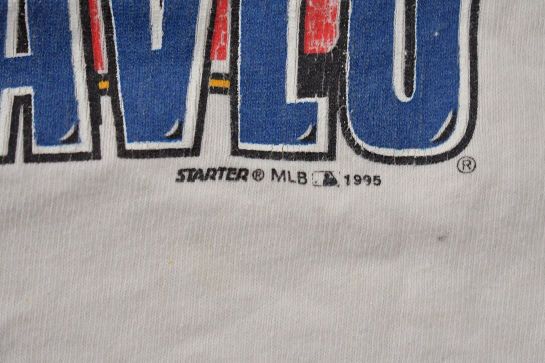 Vintage 1995 World Series Champions Atlanta Braves MLB Ringer T Shirt