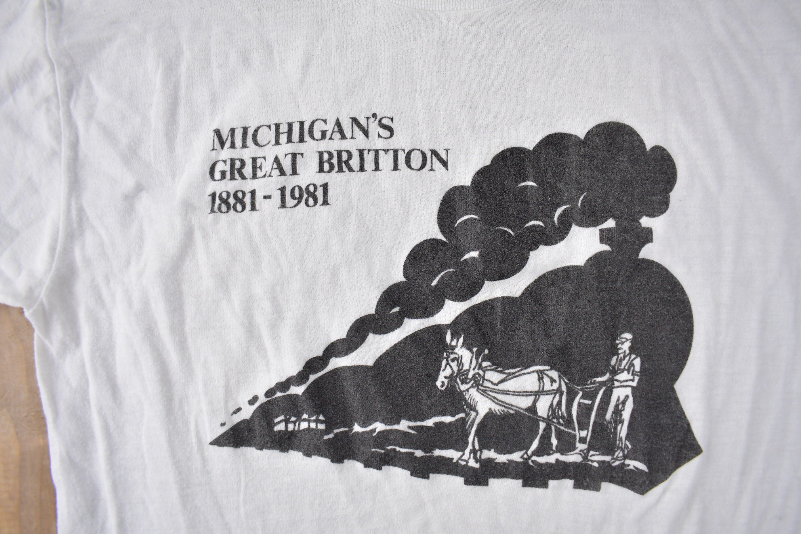 Vintage 1981 Michigan's Great Britton Single Stitch Graphic T Shirt Made In USA