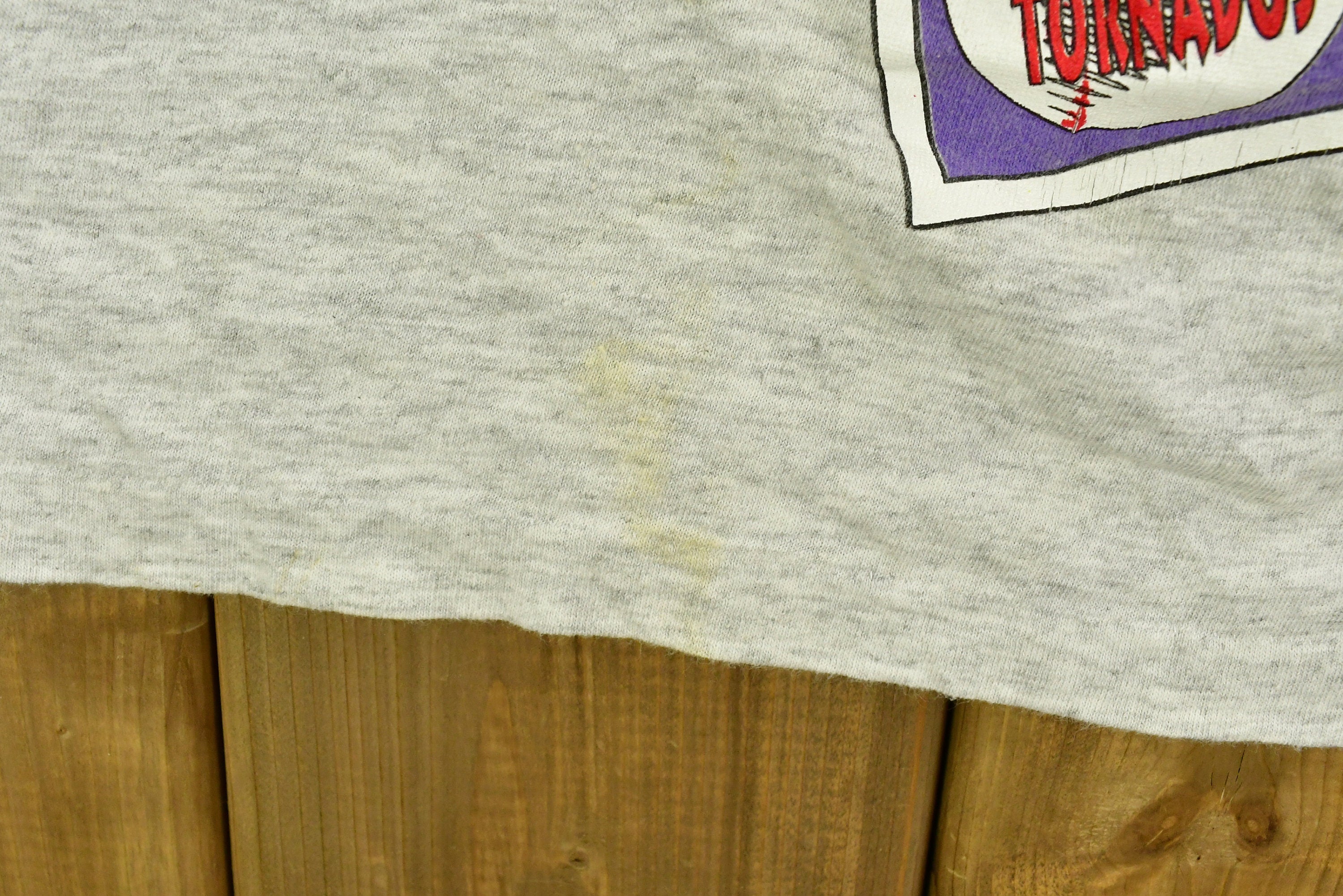 Vintage 1993 Tasmanian Devil Baseball Cartoon T-Shirt