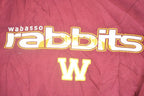 Vintage Y2K Wabasso Rabbits Middle Swoosh Nike Hoodie Sweatshirt Men's XL / Swoosh Logo / Minimalist / Made in USA / 2000s Nike Sweater