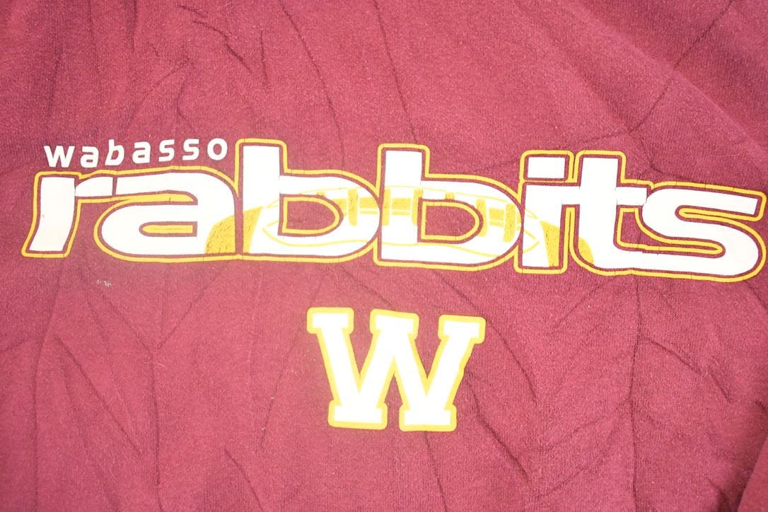 Vintage Y2K Wabasso Rabbits Middle Swoosh Nike Hoodie Sweatshirt Men's XL / Swoosh Logo / Minimalist / Made in USA / 2000s Nike Sweater