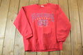 Vintage 1990s Virginia Beach Crewneck Sweatshirt